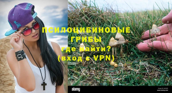 дурь Горно-Алтайск