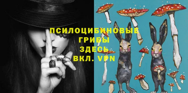 дурь Горно-Алтайск