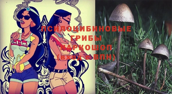 дурь Горно-Алтайск
