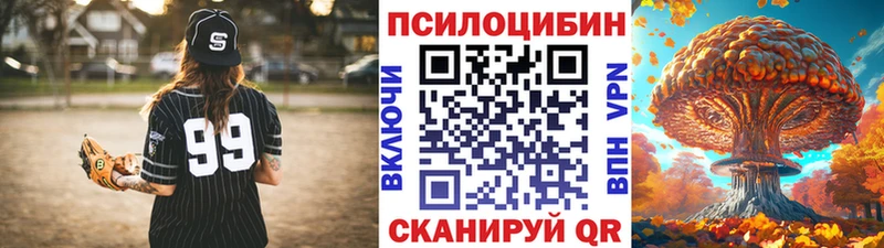Купить  Глазов  Псилоцибиновые грибы Psilocybine cubensis 